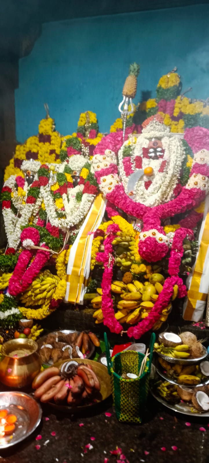 Gallery Image 12